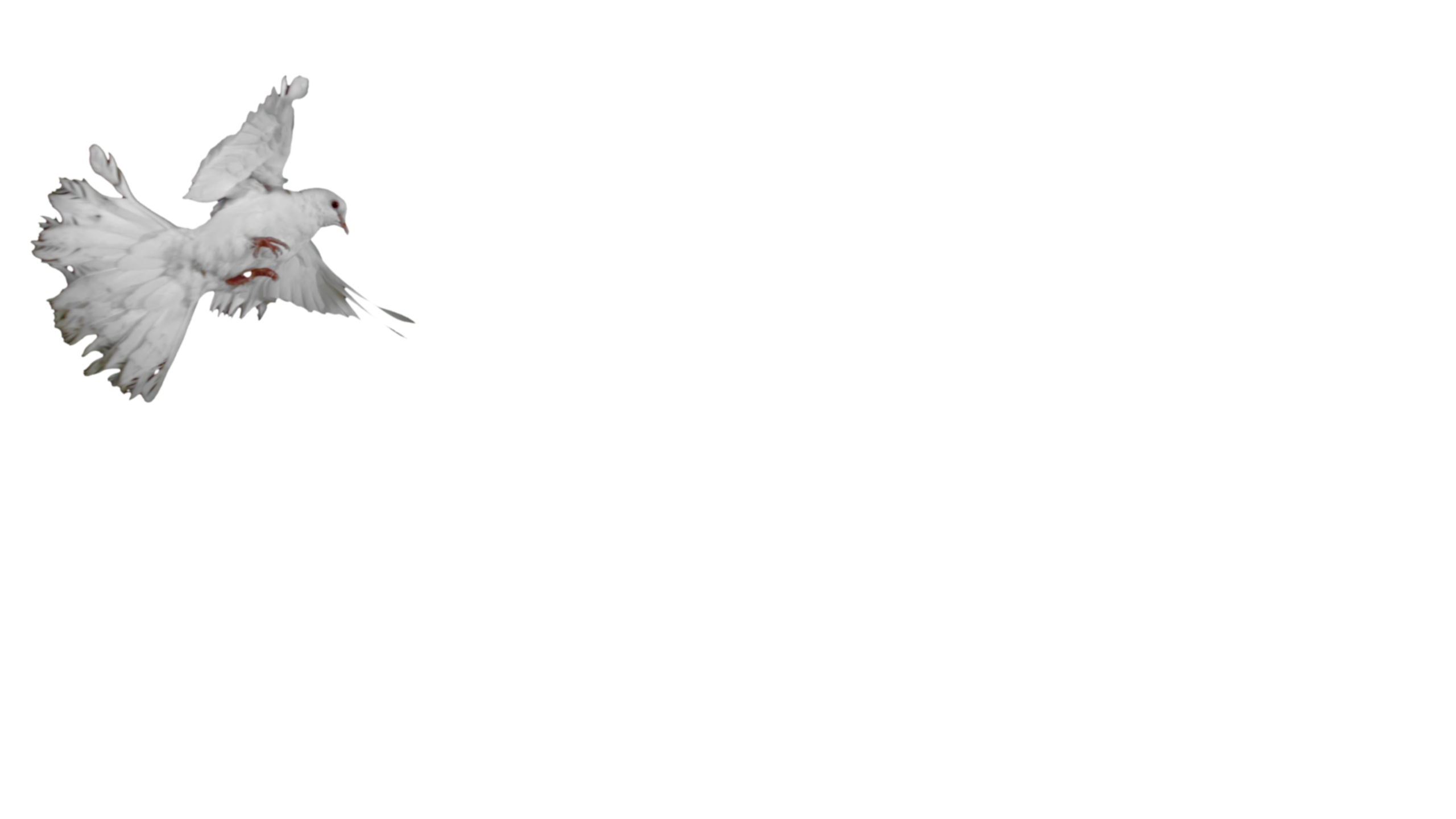 Kenta Creato
